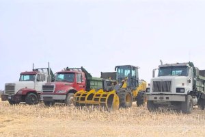 Buit Custom Services Ltd offers down-to-earth agricultural services to farms and rural properties throughout Central Alberta.