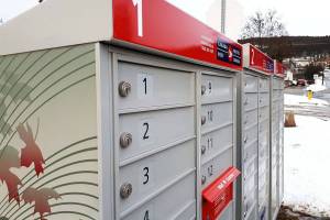 (Monica Lamb-Yorski/Black Press Media)